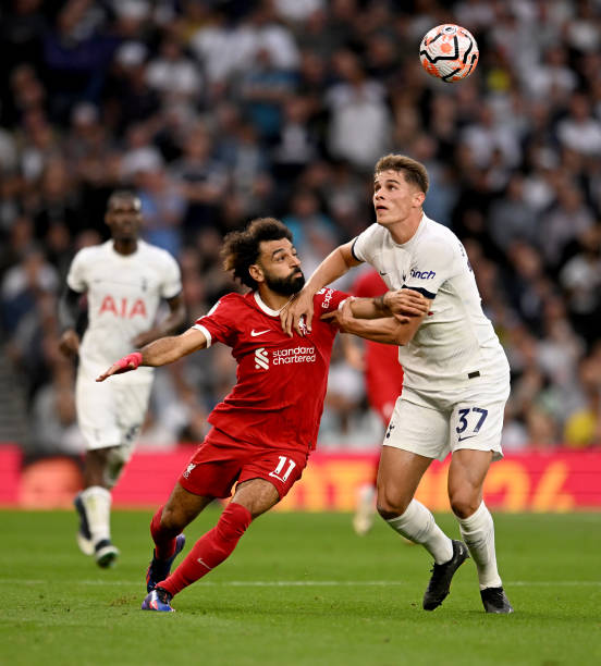 甲的恩迪卡 甲的恩迪卡