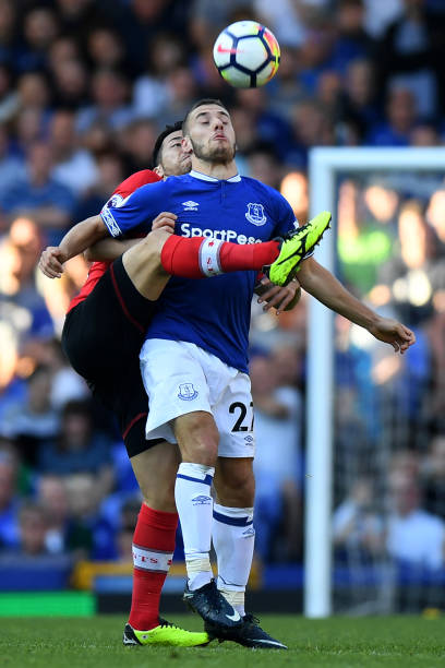 费塔尔的职 费塔尔的职