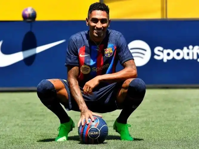 灰熊暂停后 灰熊暂停后